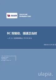 公司深度报告：BC双驱动，提速正当时