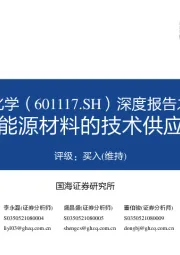 深度报告之二：新能源材料的技术供应商