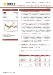 国内CMP龙头地位稳固 成像显示打开新增长极