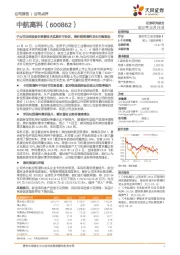 子公司与控股股东签署技术实施许可协议，碳纤维预浸料龙头行稳致远