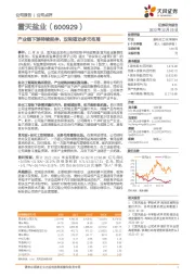 产业链下游持续延伸,双轮驱动多元布局