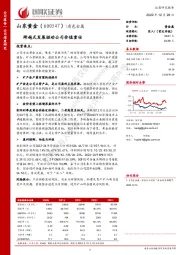 有色金属：跨越式发展驱动公司价值重估