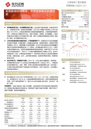 军用隐身材料龙头,先发优势明显后劲仍足