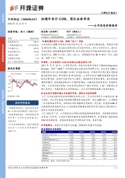 公司信息更新报告：拟境外发行GDR，深化全球布局