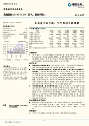 多业务全面开花，全年盈利大超预期