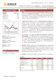 定增助力CVD项目二期建设，产业化进展提速