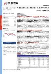 公司信息更新报告：取得储能专利&设立储能装备公司，能源转型迎进展