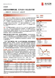 公告点评:多型号合同增厚业绩,红外龙头十四五成长可期