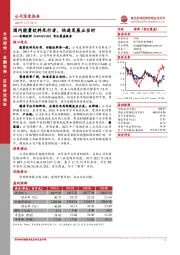 首次覆盖报告：国内能量饮料先行者，快速发展正当时