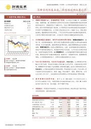 深耕音视频基本盘，新领域延伸拓展边界