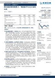 股权激励增强凝聚力,钢铁数字化龙头扬帆远航
