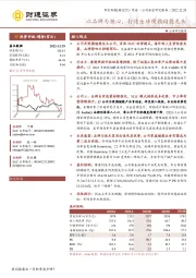 以品牌为核心,打造全球便携储能龙头