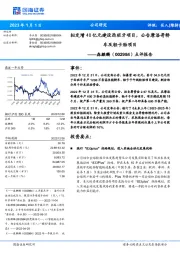 点评报告：拟定增40亿元建设西班牙项目，公告摩洛哥轿车及轻卡胎项目