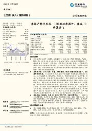 乘国产替代东风，IDM助功率器件、集成IC两翼齐飞