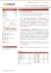 2022业绩大幅预增，盈利能力强劲