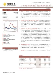 12月销量同比高增长，2023年高增长可期