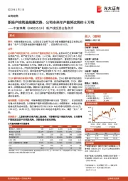 新产线投资公告点评:新投产线筑造规模优势,公司未来年产能将达到约6万吨