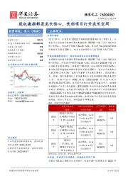 股权激励彰显龙头信心,优创项目打开成长空间