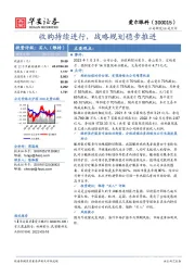 收购持续进行，战略规划稳步推进