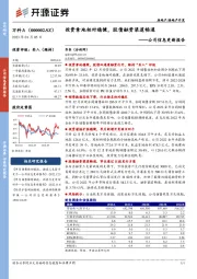 公司信息更新报告：投资拿地相对稳健，股债融资渠道畅通