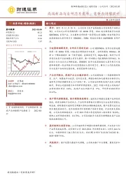 高端新品与自研芯片发布,竞争力持续提升