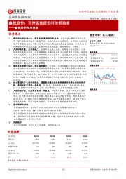 鑫铂股份深度报告：鑫铂股份：可持续能源铝材的领跑者