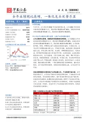 全年业绩同比高增，一体化龙头优势尽显
