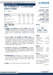 2022年业绩预告点评:Q4出货环比微降,业绩符合市场预期