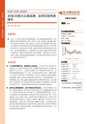 动态点评：全球LED显示头部品牌，业绩实现高速增长