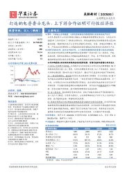 打造钠电普鲁士龙头，上下游合作证明可行性经济性