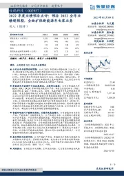 2022年度业绩预告点评：预告2022全年业绩超预期，全面扩张新能源车电装业务