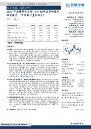 2022年业绩预告点评:Q4组件出货和盈利继续提升,23年看好量利双升!