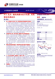 ICL龙头：稳筑规模与技术优势，政策驱动长期成长