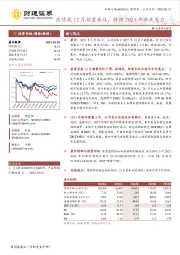 疫情致12月销量承压，静待2023年新车发力