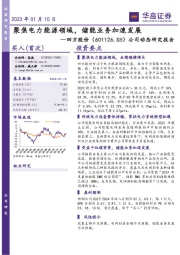 公司动态研究报告:聚焦电力能源领域,储能业务加速发展