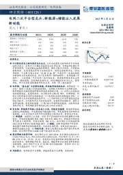 电网二次平台型龙头，新能源+储能注入发展新动能