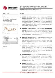 公司深度报告：进入经营效率提升期的医药和动保原料药龙头