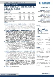 2022年业绩预告点评:储能布局持续加速,业绩基本符合市场预期