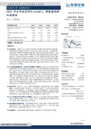 2022年全年批发同比-16.66%，新能源战略加速落地