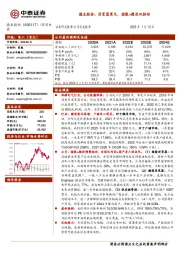 德业股份：逆变器黑马，储能+微逆双驱动