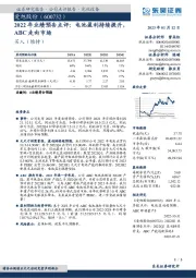 2022年业绩预告点评:电池盈利持续提升,ABC走向市场