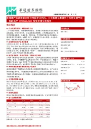 投资价值分析报告:多领域产品结构助力抢占市场变化先机,三大高增长赛道打开未来业绩空间