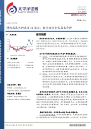 持续高成长的政务IT龙头，数字经济夯实成长台阶