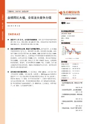 动态点评:业绩同比大增,全球龙头竞争力强