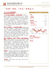 “朱鹮”助跑,“青鸟”顺势起飞