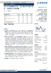 2022年业绩预告点评：Q4盈利水平稳中有升，业绩符合市场预期