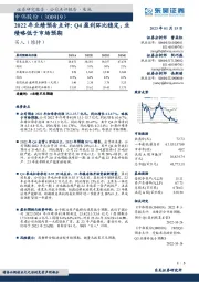 2022年业绩预告点评：Q4盈利环比稳定，业绩略低于市场预期