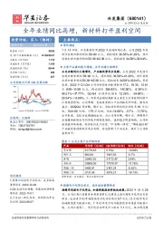 全年业绩同比高增，新材料打开盈利空间