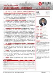 动态报告：参与竞标中国最大铅锌矿，加码铅锌领域布局