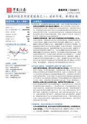 蓝晓科技系列深度报告之二：层析介质，新增长极